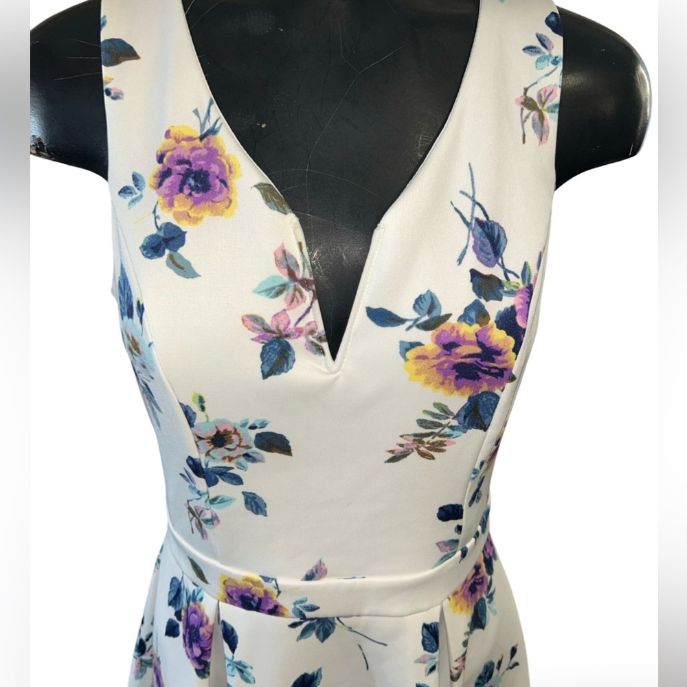 Francesca`s Romantic Floral Fit & Flare V-Neck Delicate Pleated Dress Sm… - Picture 5 of 7